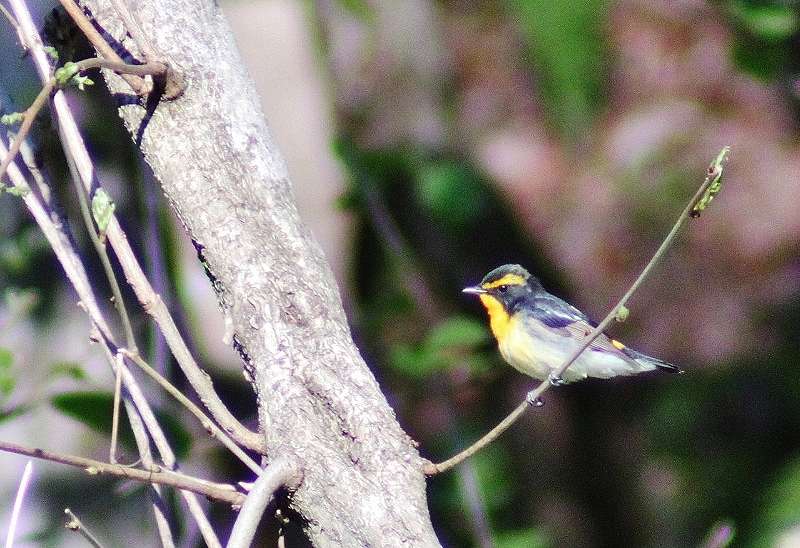 IMG_7732 (800x548).jpg