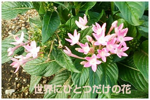 rblog-20160822194515-00.jpg