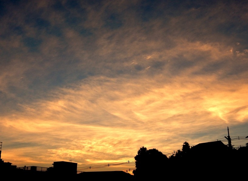 夕暮れ3.JPG