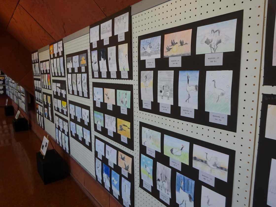 吹雪きとタンチョウ 亮さんの釧路b級ｸﾞﾙﾒ日記 特に蕎麦 楽天ブログ