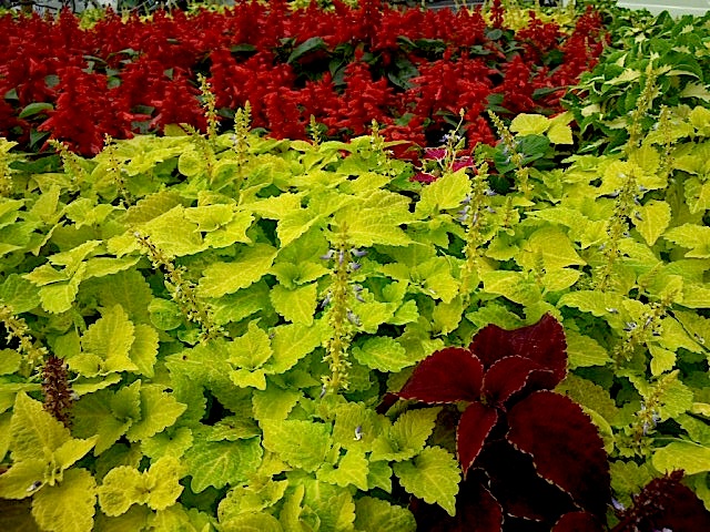 131010_155225.jpg