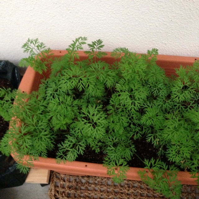 rblog-20131020003319-01.jpg