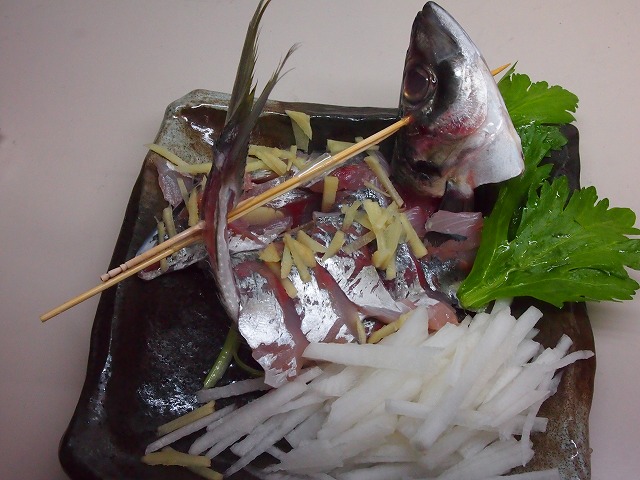 P1190003.jpg