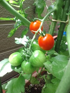 120625_1120~01.jpg