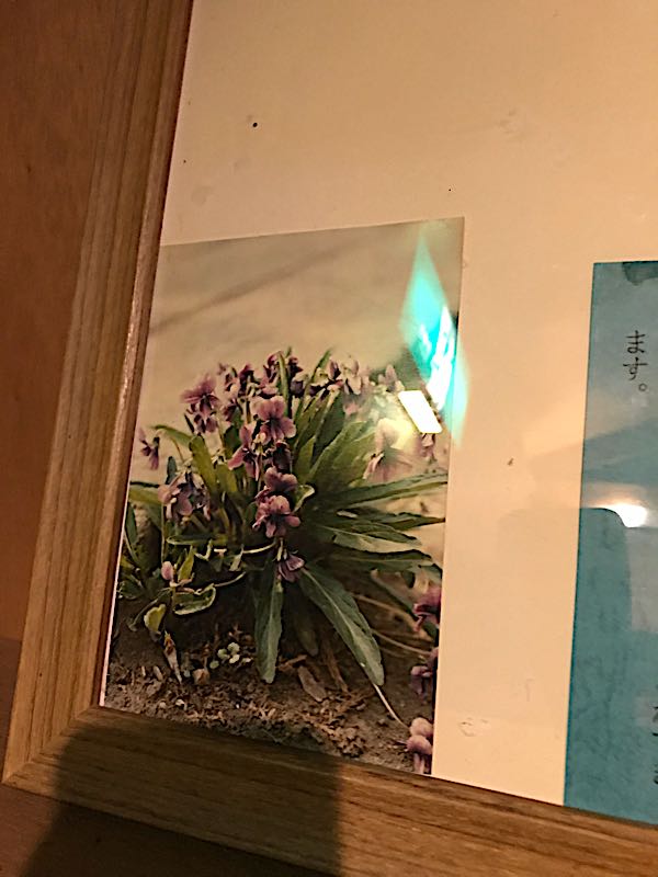 rblog-20181003175059-06.jpg