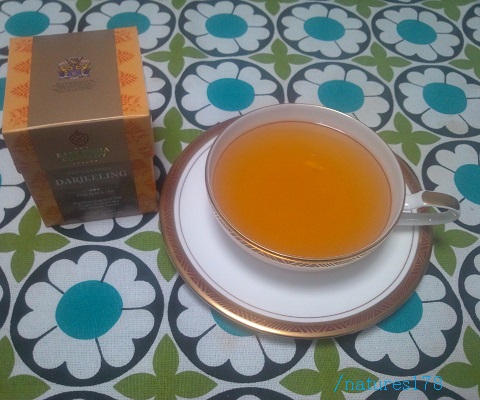 今日の紅茶　ザ・キャンベル　ダージリン　東インド会社
