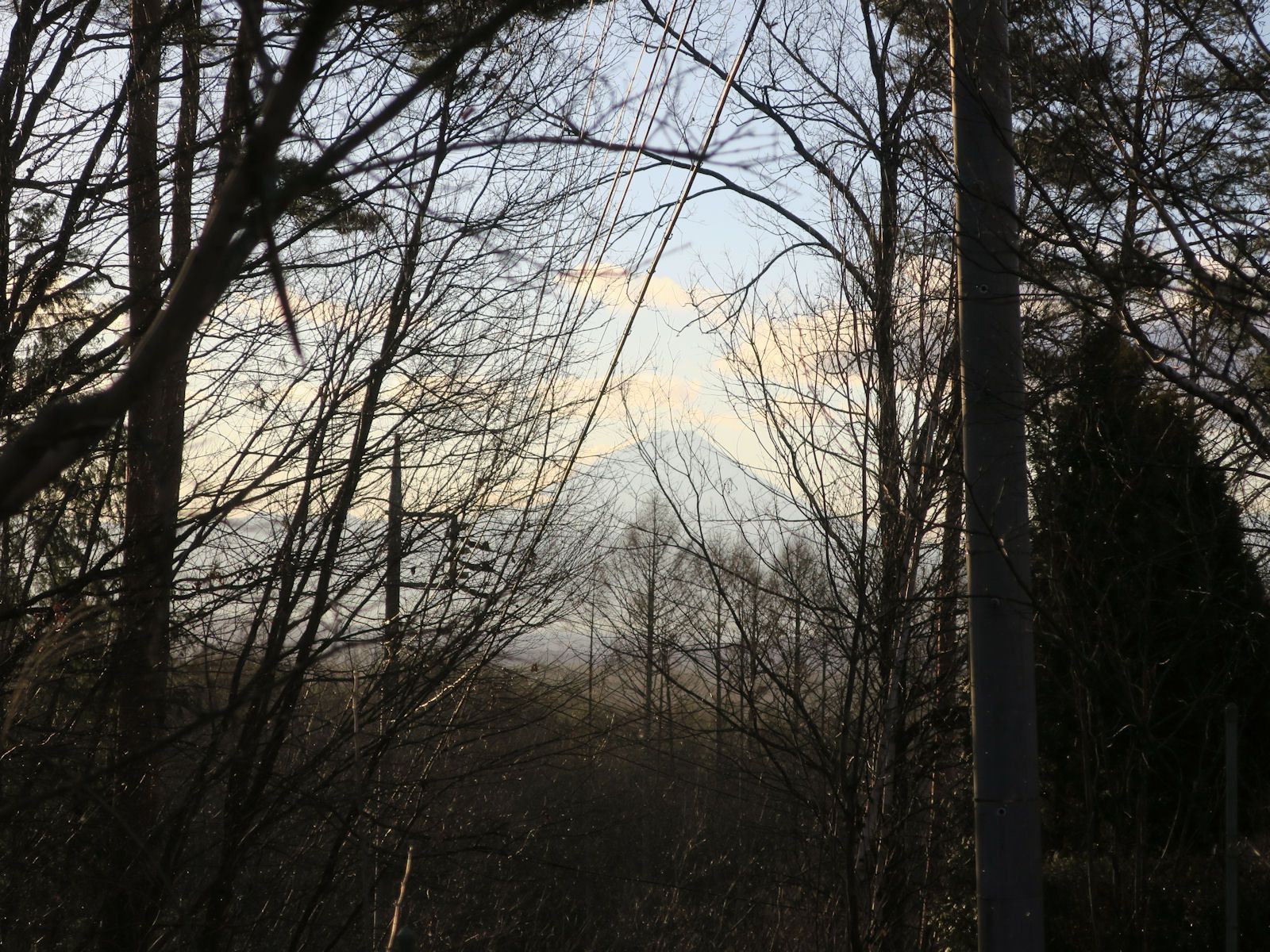 コンデジより肉眼で見たほうがずっときれいです…