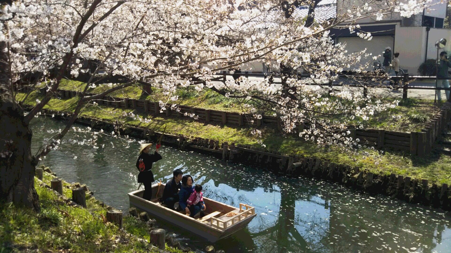 平成最後の小江戸川越 春祭り Hotel Coojuより お得情報 W 楽天ブログ