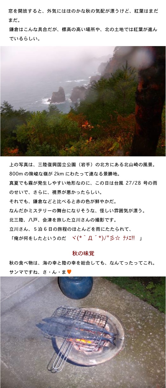 2013.11.03-4.jpg