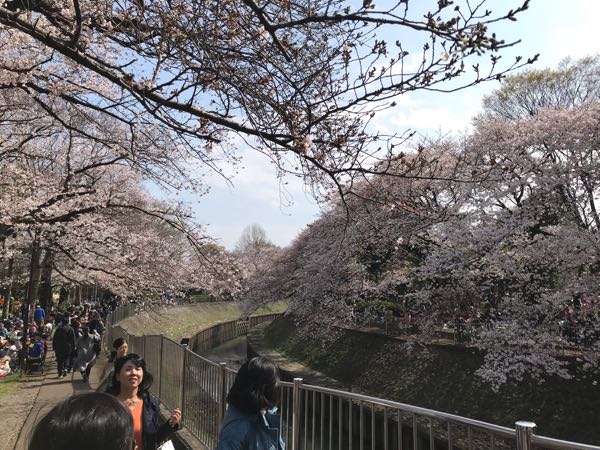 rblog-20190331200607-06.jpg