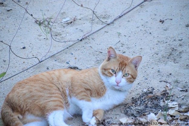 別れた後の男性の気持ちは？