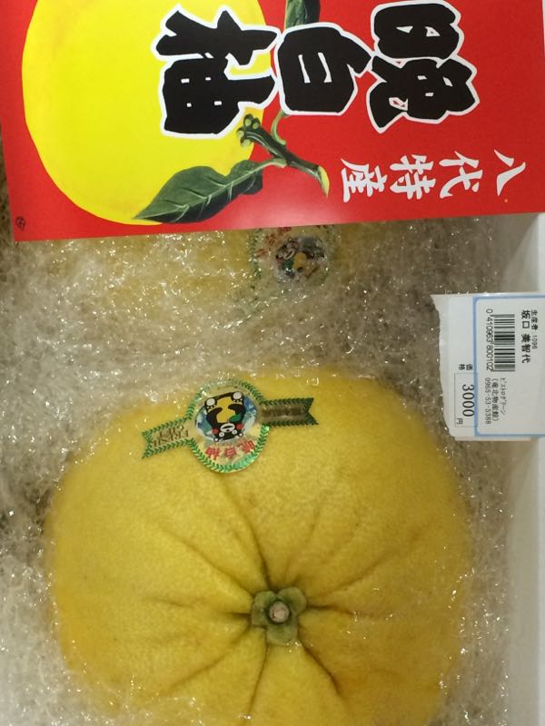 rblog-20160119115009-08.jpg