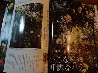 DSC00301.jpg