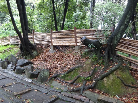 DSC09070.JPG