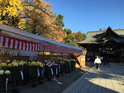 秩父神社の紅葉。