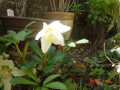 DSC00876.JPG