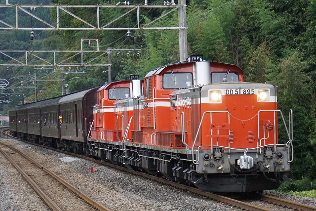 DD51 842+DD51 895+旧客 鉄道の日 DLレトロ水上7