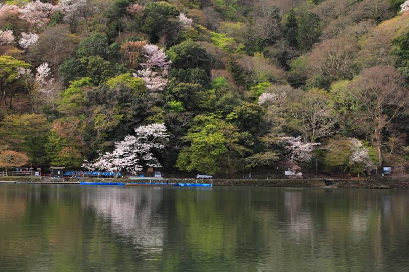 大堰川と嵐山_003.jpg
