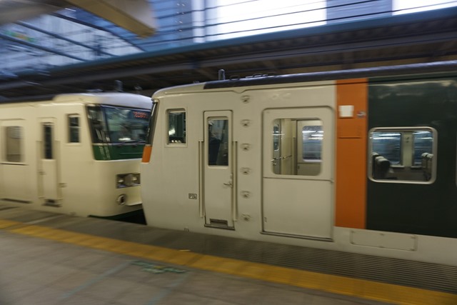 185系 特急｢踊り子｣ in 東京駅6