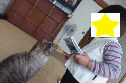 ロク198