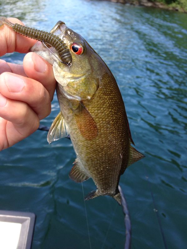rblog-20140623230229-02.jpg