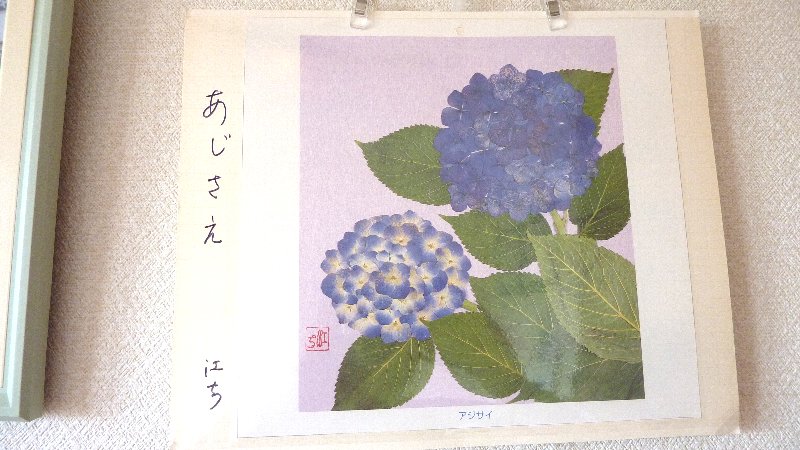 あじさえ