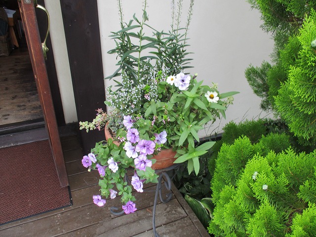IMG_8687ss.jpg