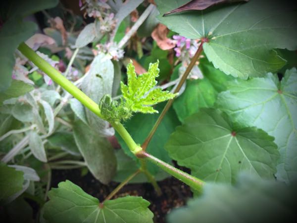 rblog-20160725214145-01.jpg