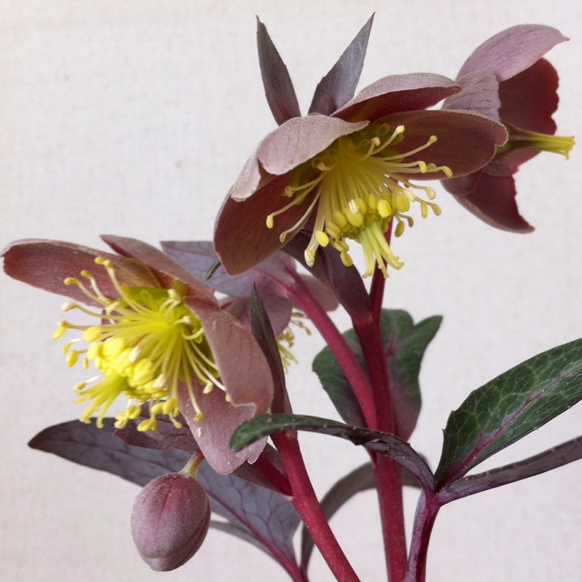rblog-20130305182958-01.jpg