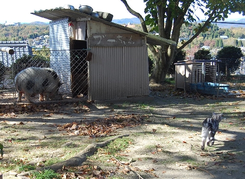 DSC_0124.JPG