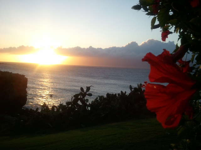 2012-05-05 13.42.23.jpg
