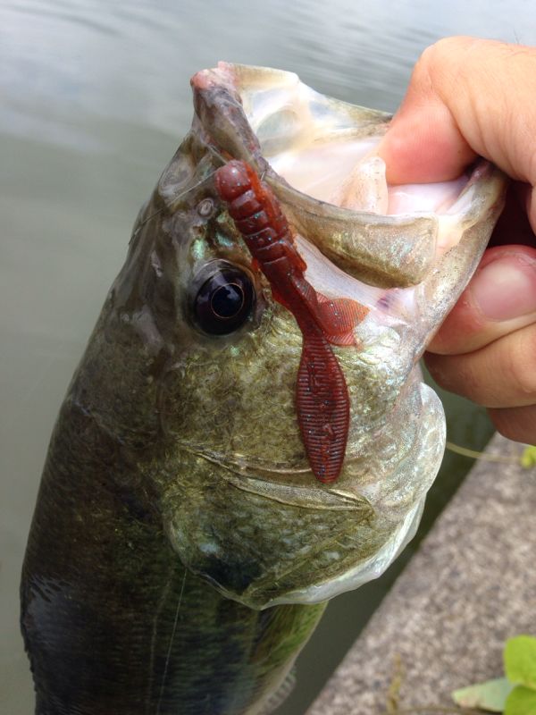 rblog-20140630131534-03.jpg
