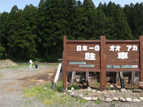 松3.jpg