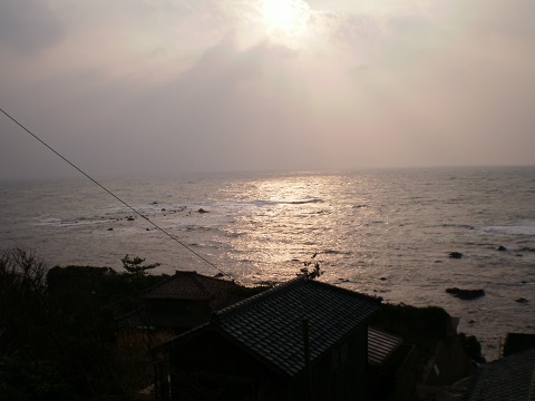 ojima1