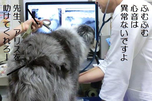 助けて