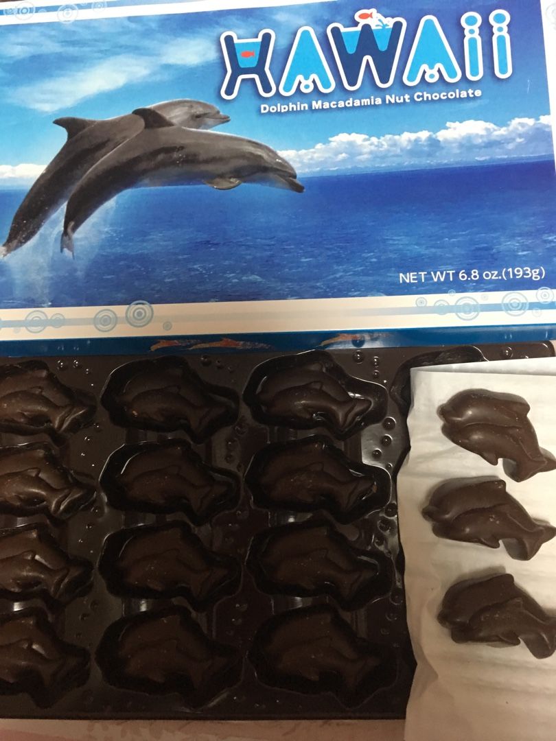 イルカの形のチョコレート カヨちゃんの部屋なの 楽天ブログ