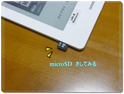 microSD.JPG