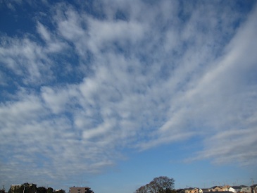 IMG_0546_1.JPG