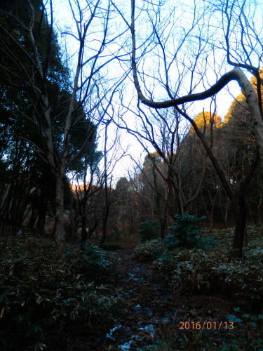 P1130028b20160113.jpg