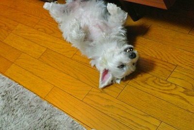 s-DSC_2058.jpg