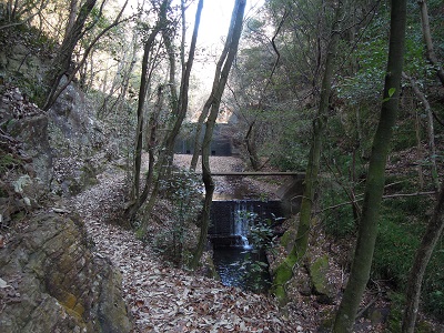 DSCN6292s.jpg