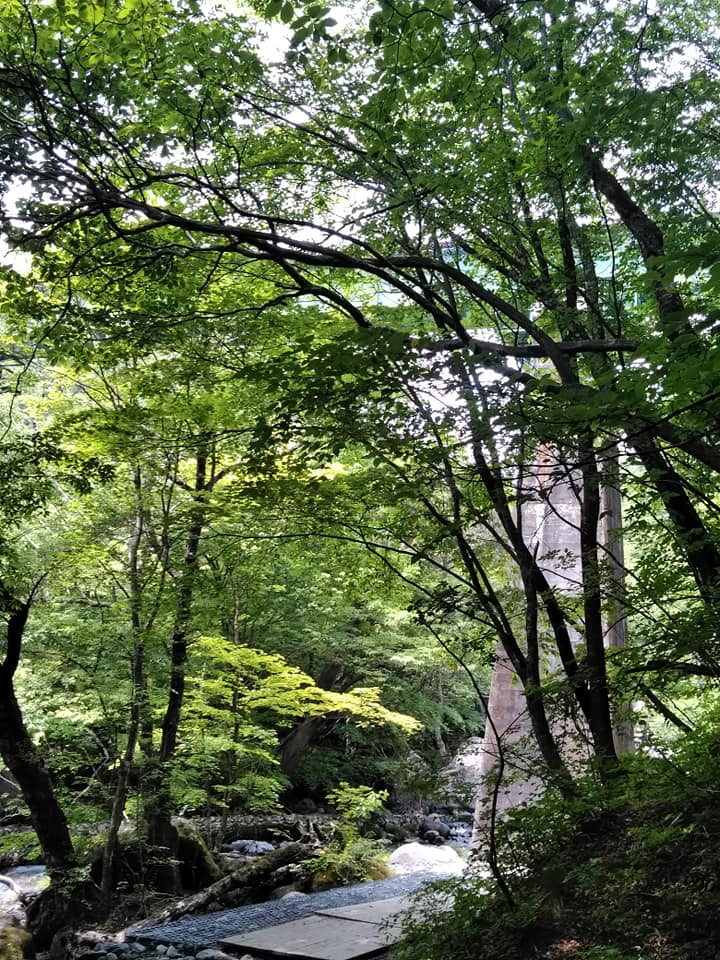 安い 川俣川渓谷 遊歩道 サンダル