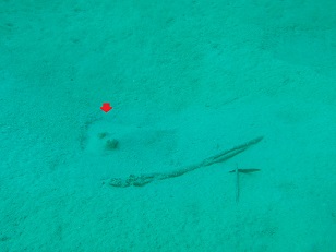 PA279677.JPG