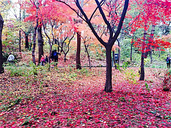rblog-20151115183533-04.jpg