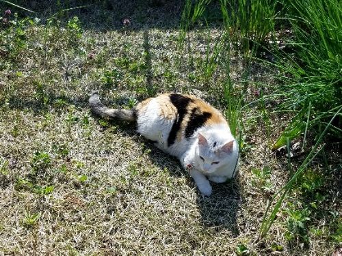 rblog-20180430124604-03.jpg
