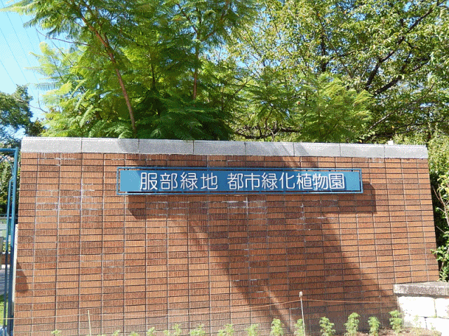 植物園アニメ