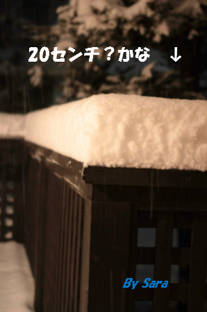 IMG_3823ｂ.jpg