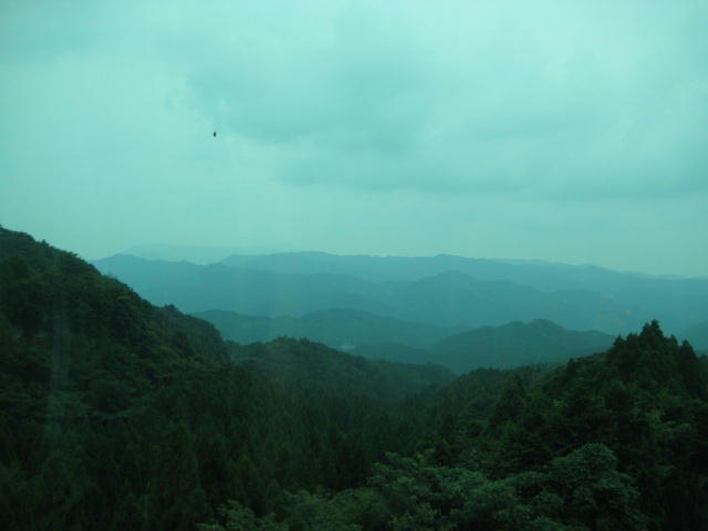 IMG_9570.JPG