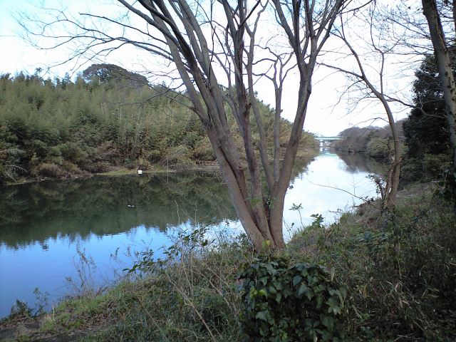 花見川