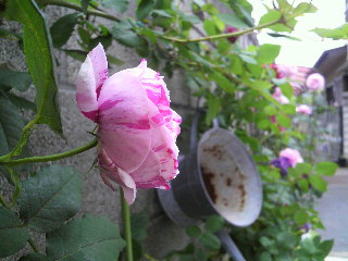 2012-04-20 07:56:43